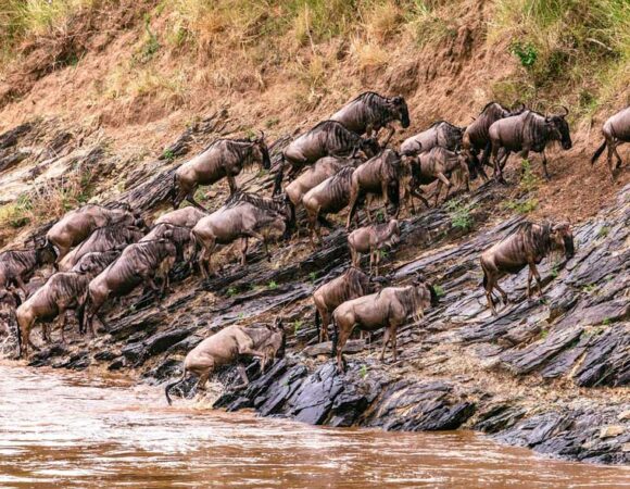 Maasai Mara Reserve