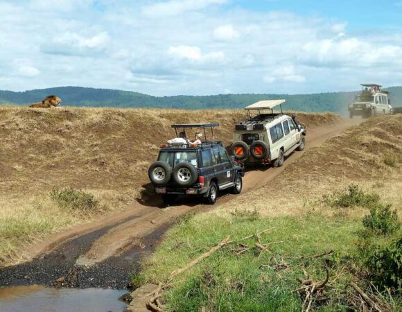 Ngorongoro & Tarangire