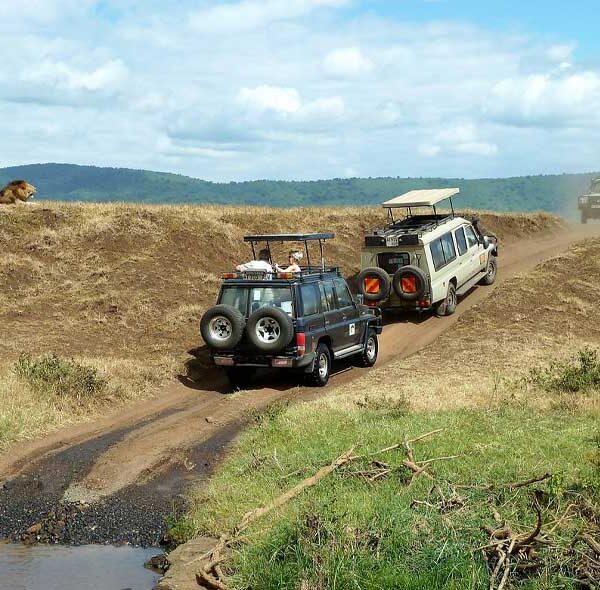 Ngorongoro & Tarangire