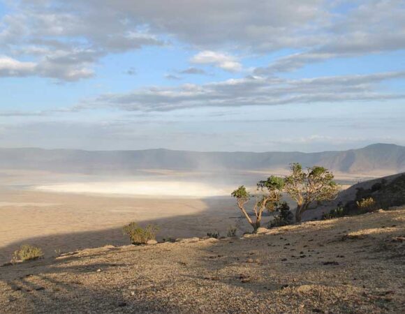 Ngorongoro, Serengeti & L. Manyara