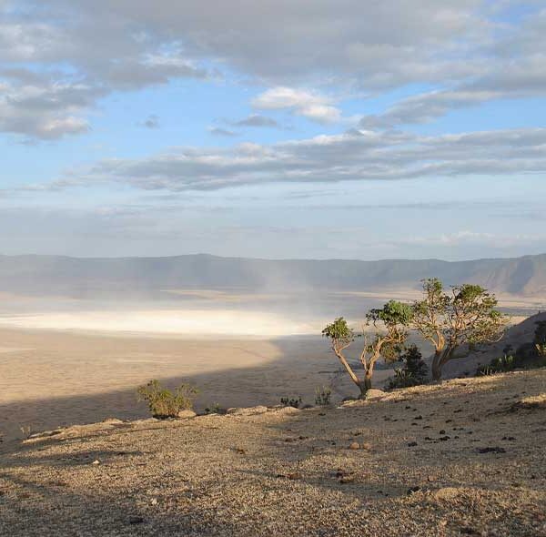 Ngorongoro, Serengeti & L. Manyara