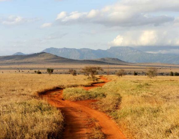 Tsavo East & West Safari